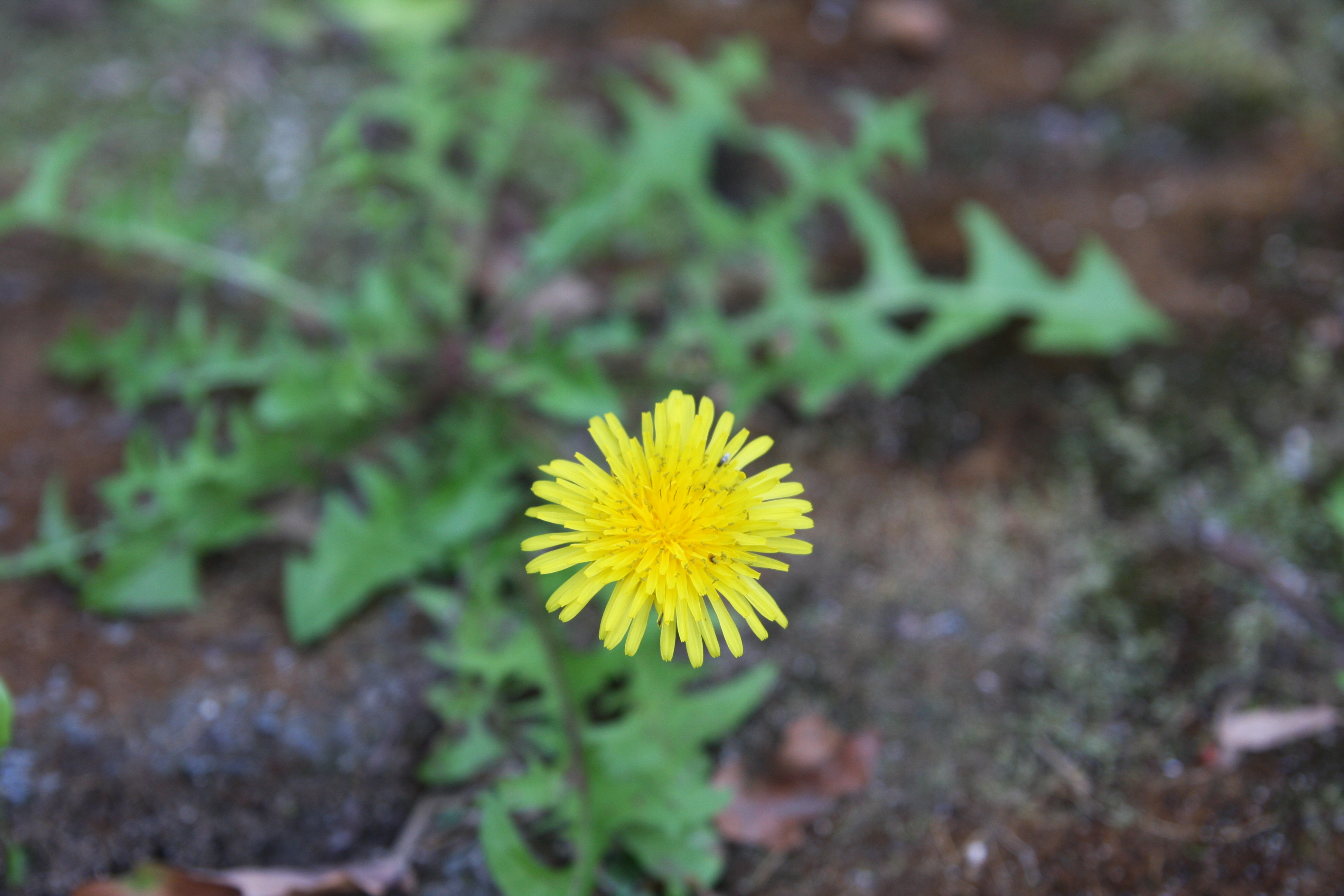 울산-단디